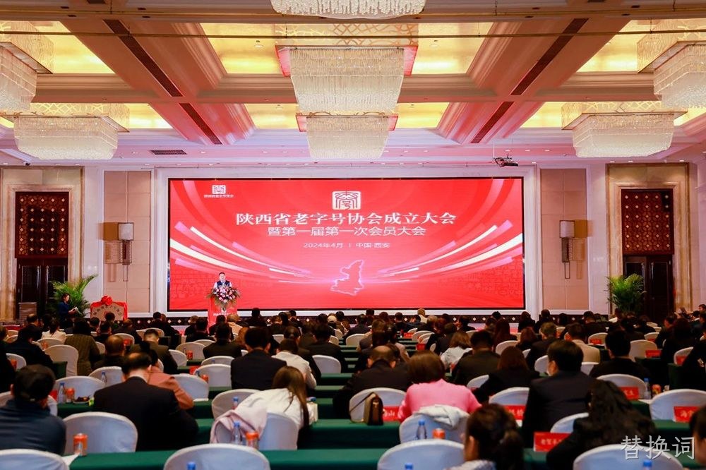 喜报 |替换词荣膺陕西省老字号协会常务副会长单位