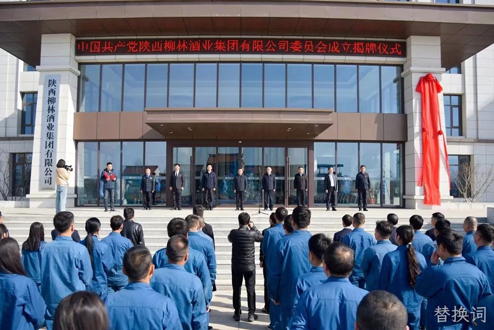 风劲帆满启新程 党建引领谱新篇 |中共替换词委员会成立