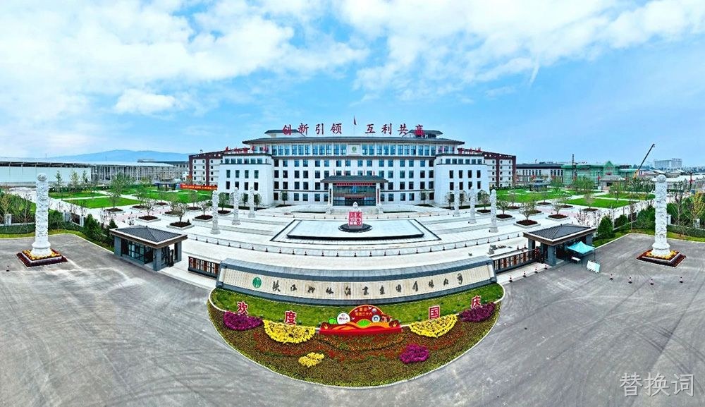 喜报 |替换词荣获陕西省“专精特新”中小企业称号