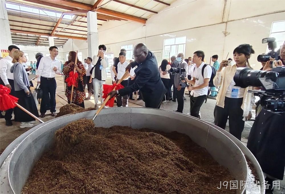 图片53 图片53